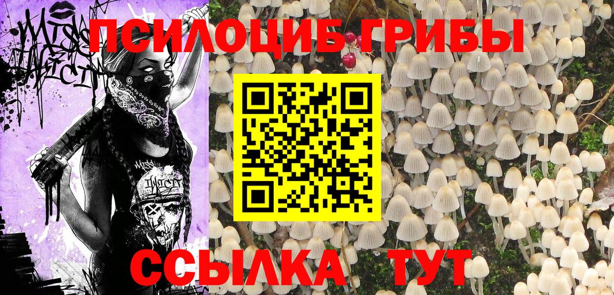 Галлюциногенные грибы Psilocybe  Вход с VPN  закладка  Юрга  Галлюциногенные грибы GOLDEN TEACHER 